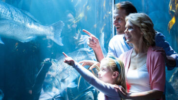 Mother and father pointing at fish in an aquarium with young daughter.