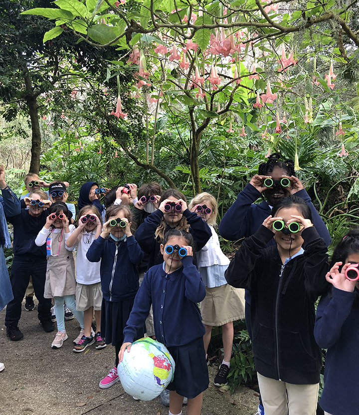 A group of school children looking through colorful binoculars in green and pink gardens.